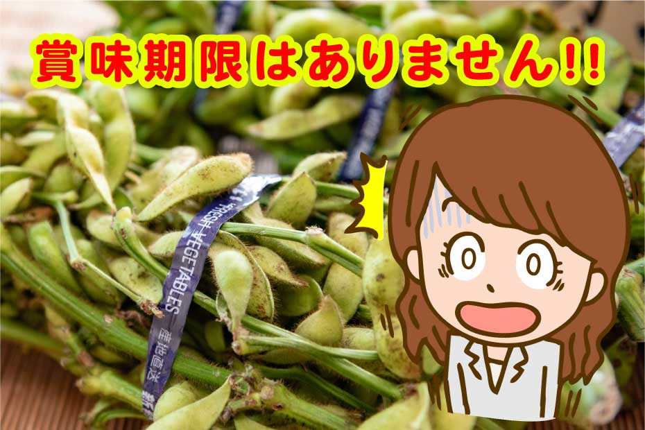 丹波篠山産黒大豆枝豆